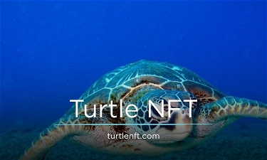 TurtleNFT.com
